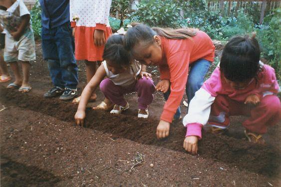 Planting Seeds in Bolivia