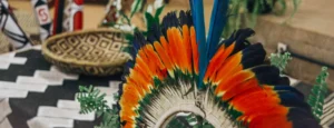 South America Mission: Privacy Page Ami Brazil Indigenous Engagement