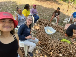 Conplei preparations